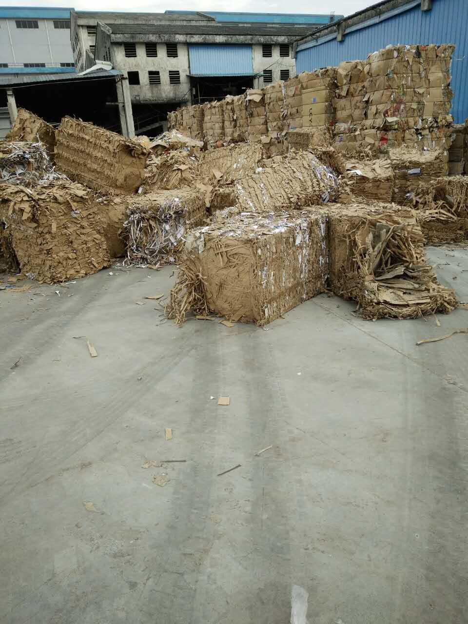 廢紙 (8)